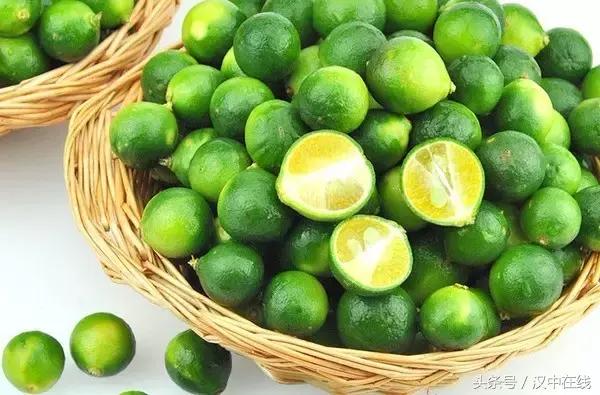 一起去城固吃桔子，还有大型活动，快来看看！