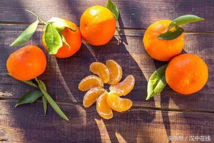 一起去城固吃桔子，还有大型活动，快来看看！