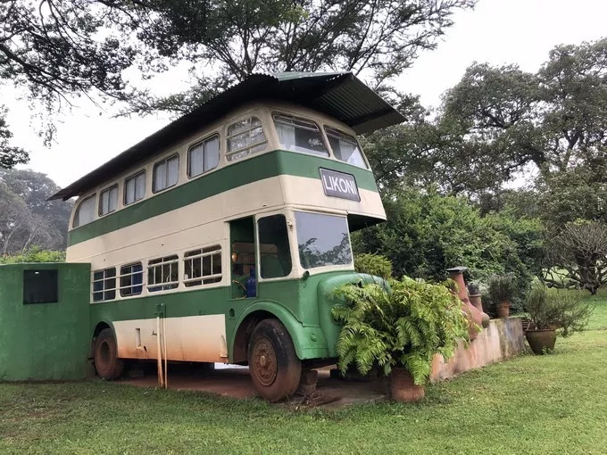 肯尼亚│我没有错过非洲，错过动物大迁徙