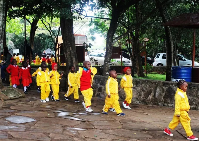 肯尼亚│我没有错过非洲，错过动物大迁徙