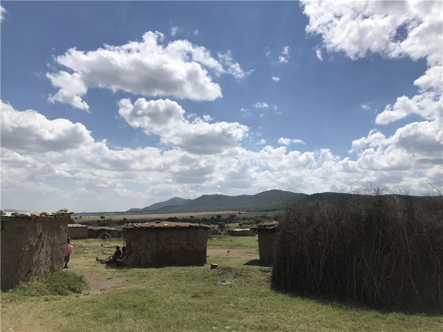 肯尼亚│我没有错过非洲，错过动物大迁徙