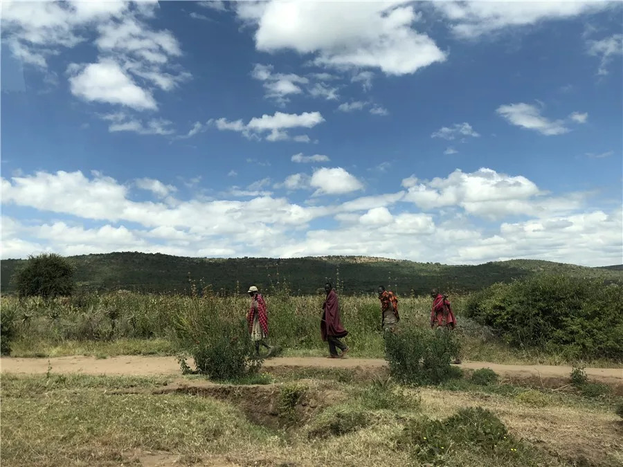 肯尼亚│我没有错过非洲，错过动物大迁徙