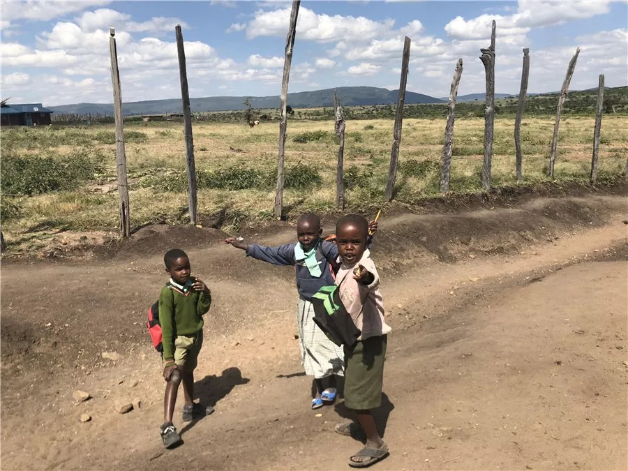 肯尼亚│我没有错过非洲，错过动物大迁徙