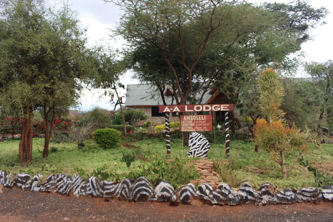 肯尼亚│我没有错过非洲，错过动物大迁徙