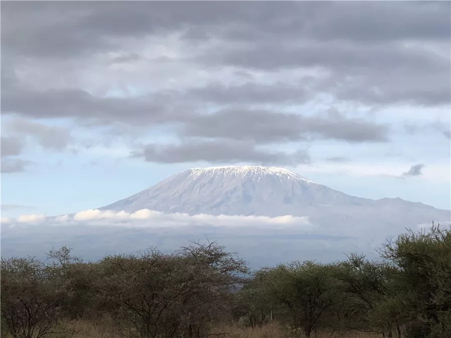 肯尼亚│我没有错过非洲，错过动物大迁徙