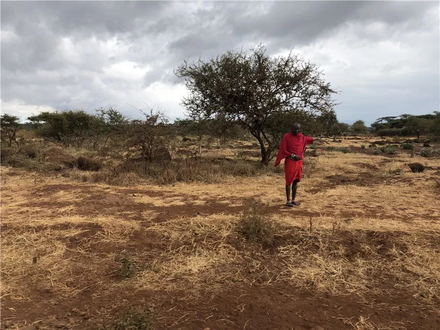 肯尼亚│我没有错过非洲，错过动物大迁徙