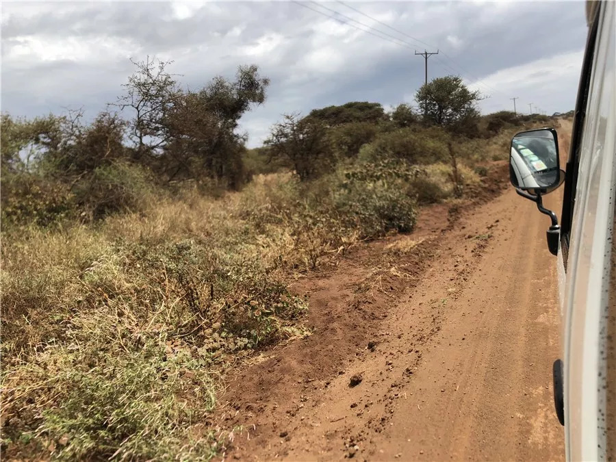 肯尼亚│我没有错过非洲，错过动物大迁徙