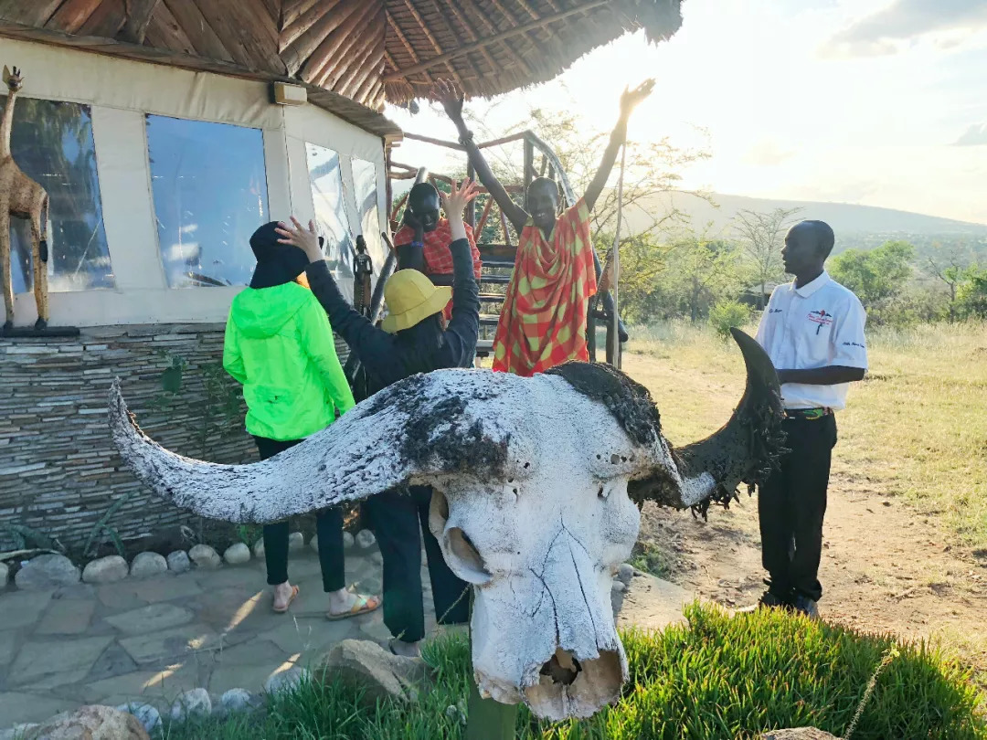 肯尼亚│我没有错过非洲，错过动物大迁徙