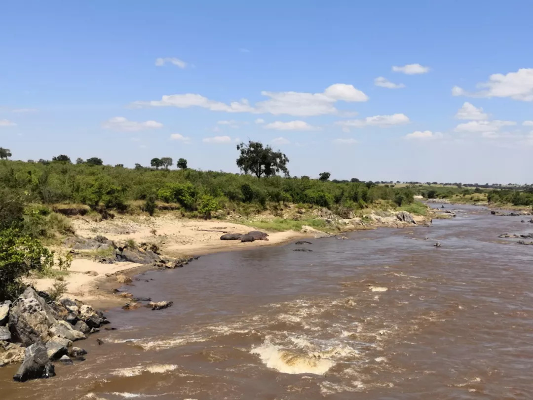 肯尼亚│我没有错过非洲，错过动物大迁徙