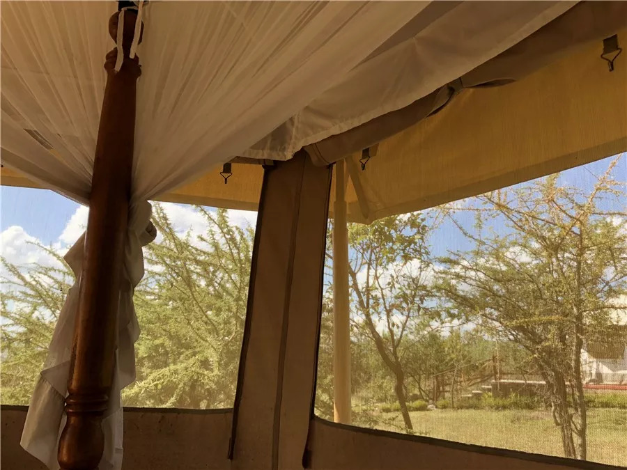 肯尼亚│我没有错过非洲，错过动物大迁徙