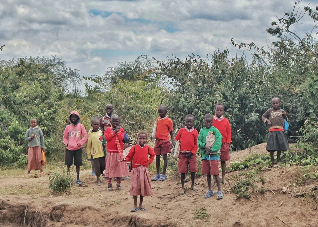 肯尼亚│我没有错过非洲，错过动物大迁徙