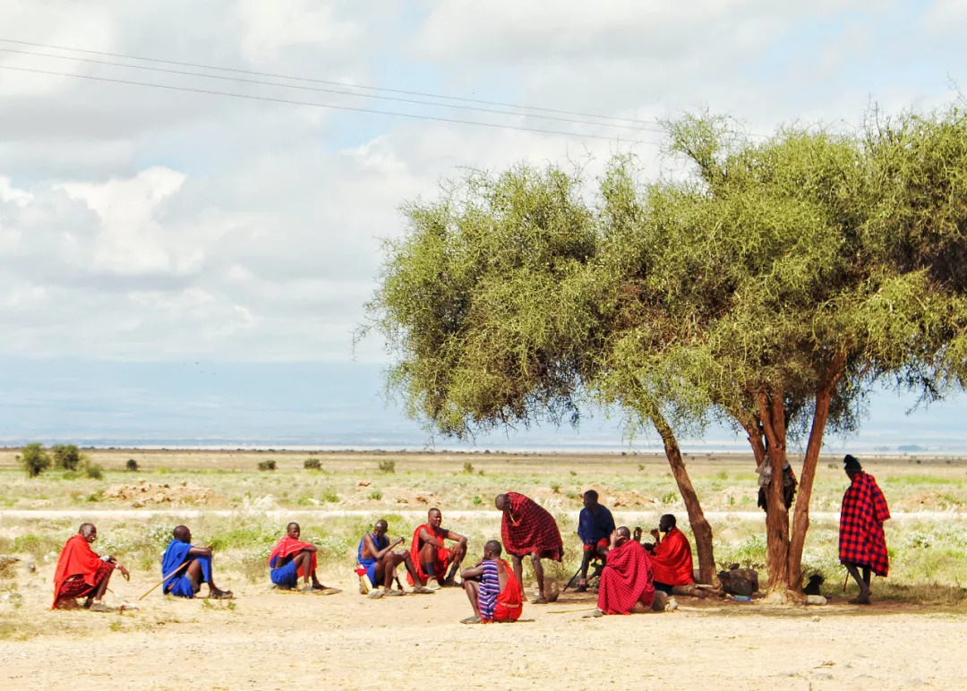 肯尼亚│我没有错过非洲，错过动物大迁徙