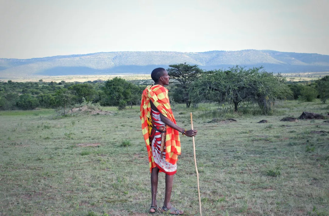 肯尼亚│我没有错过非洲，错过动物大迁徙