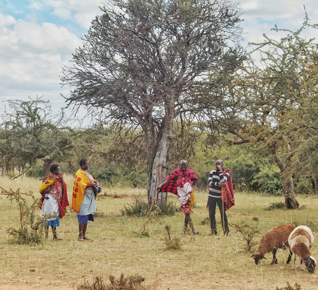 肯尼亚│我没有错过非洲，错过动物大迁徙