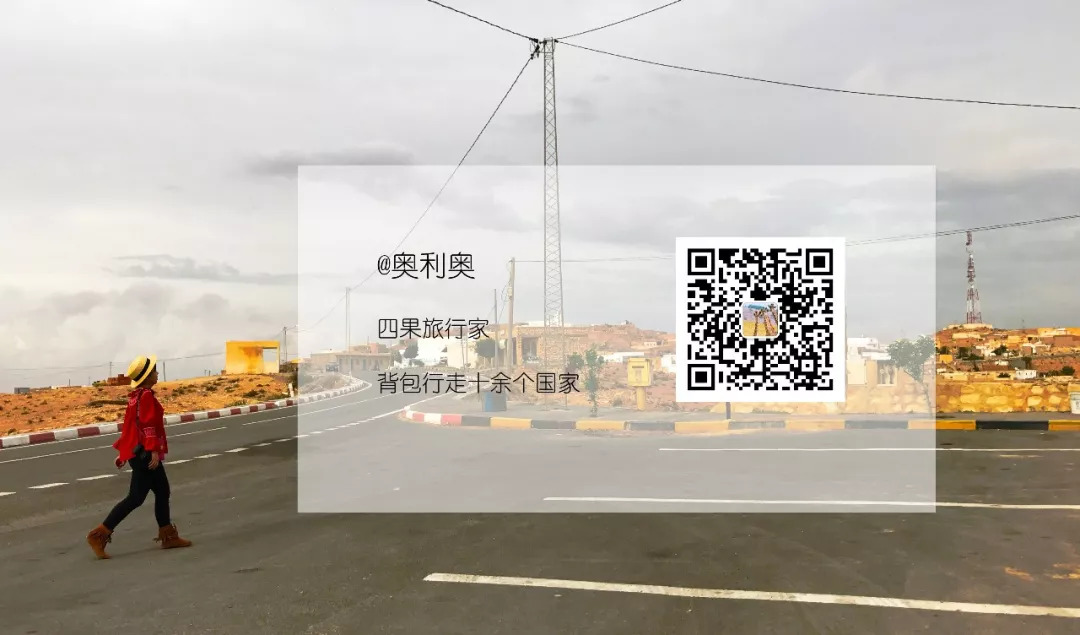 肯尼亚│我没有错过非洲，错过动物大迁徙