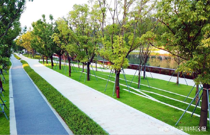 塞纳河风光美景,深圳塞纳河哪一段最美