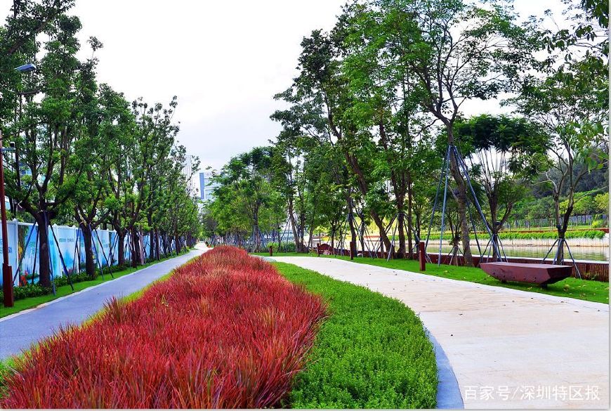 塞纳河风光美景,深圳塞纳河哪一段最美