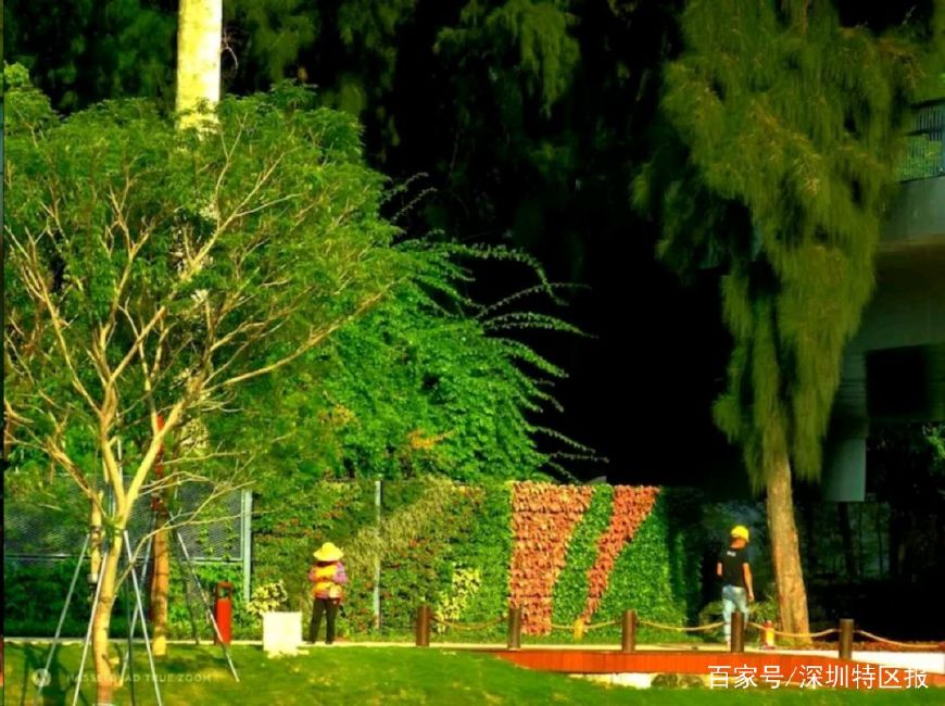 塞纳河风光美景,深圳塞纳河哪一段最美