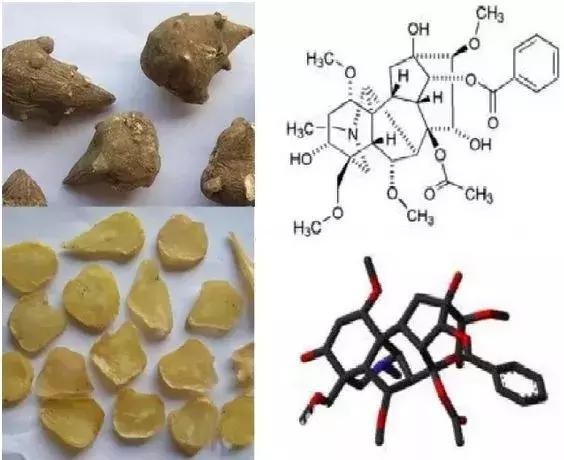 万通筋骨片是假药吗,万通筋骨片副作用有哪些