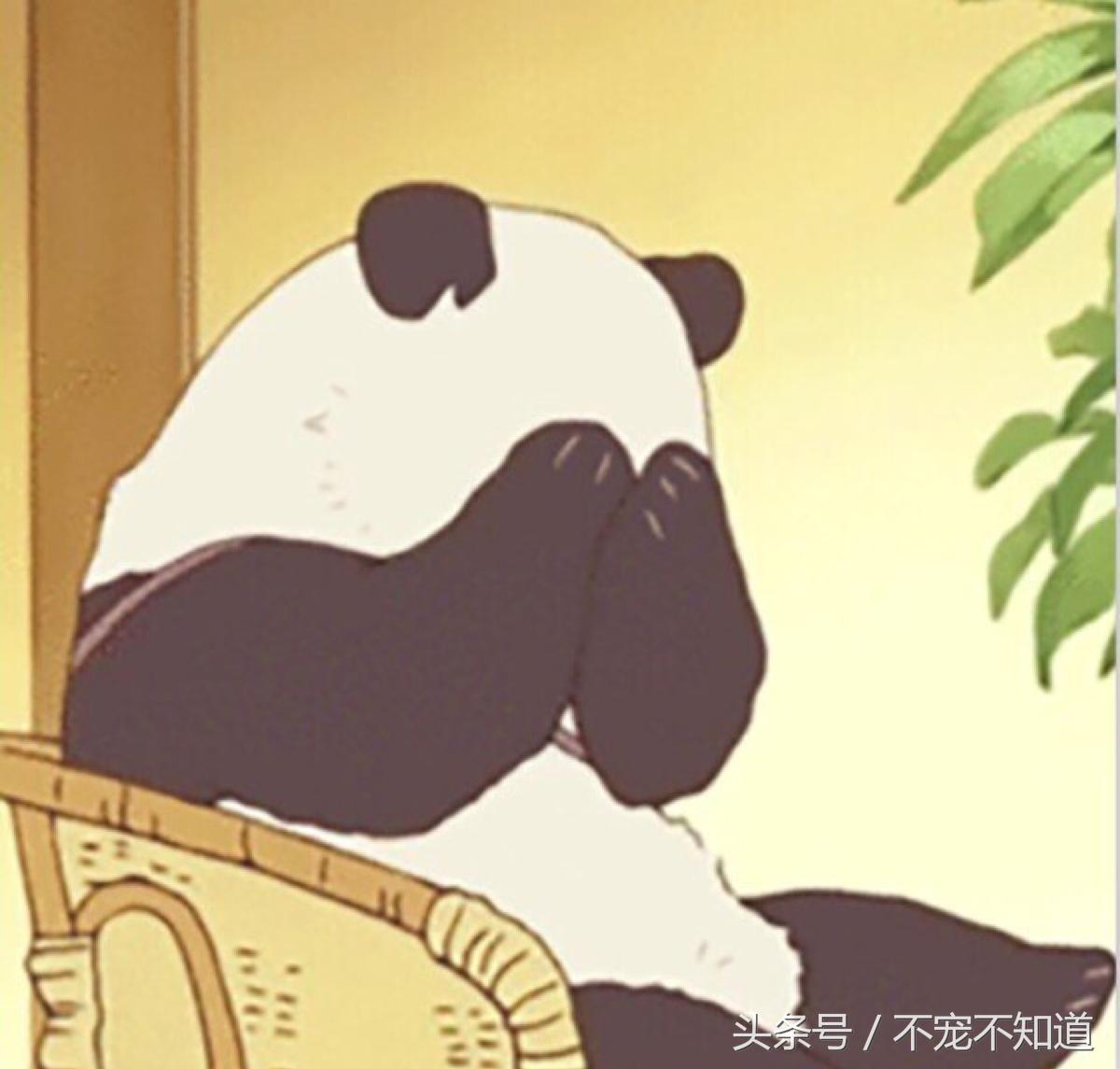 狗狗遛完回来怎么擦爪干净,遛完狗特别脏怎么办