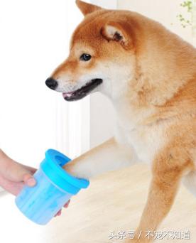 狗狗遛完回来怎么擦爪干净,遛完狗特别脏怎么办