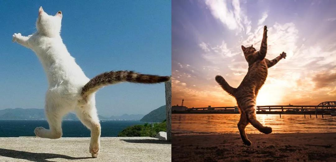 阿汤哥怎么画,阿汤哥美术教程