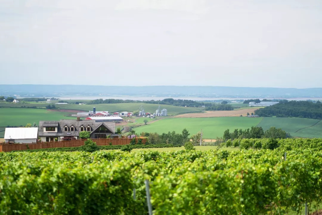 打开王潇的手账，约会加拿大新斯科舍省，遇见不一样的生活惊喜