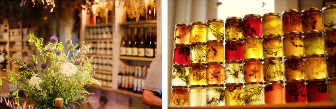 打开王潇的手账，约会加拿大新斯科舍省，遇见不一样的生活惊喜