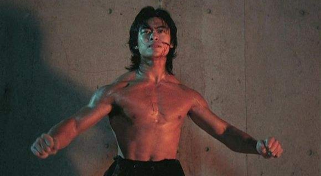 赵文卓邹兆龙主演,赵文卓邹兆龙