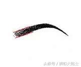 3d眉毛和野生眉哪个好看,颧骨突的适合什么眉毛