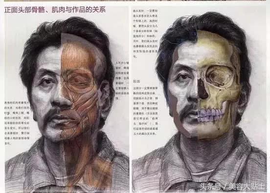 3d眉毛和野生眉哪个好看,颧骨突的适合什么眉毛