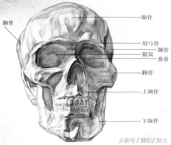3d眉毛和野生眉哪个好看,颧骨突的适合什么眉毛