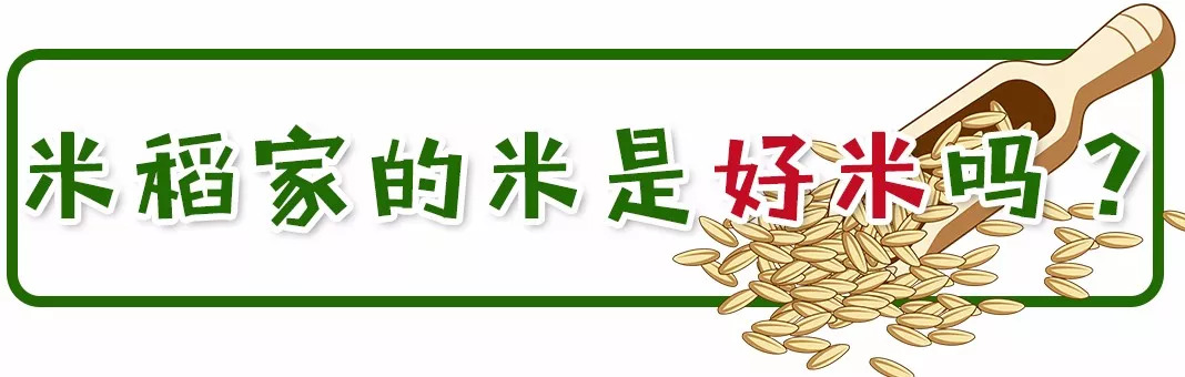 超市大米有必要买吗,是不是要盲目购买大米