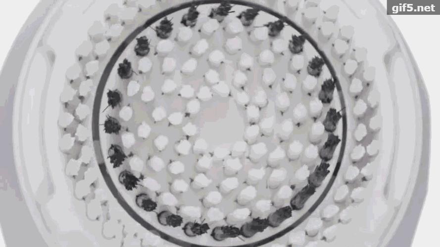 洁面仪用什么洗得干净,洁面仪的真实感受