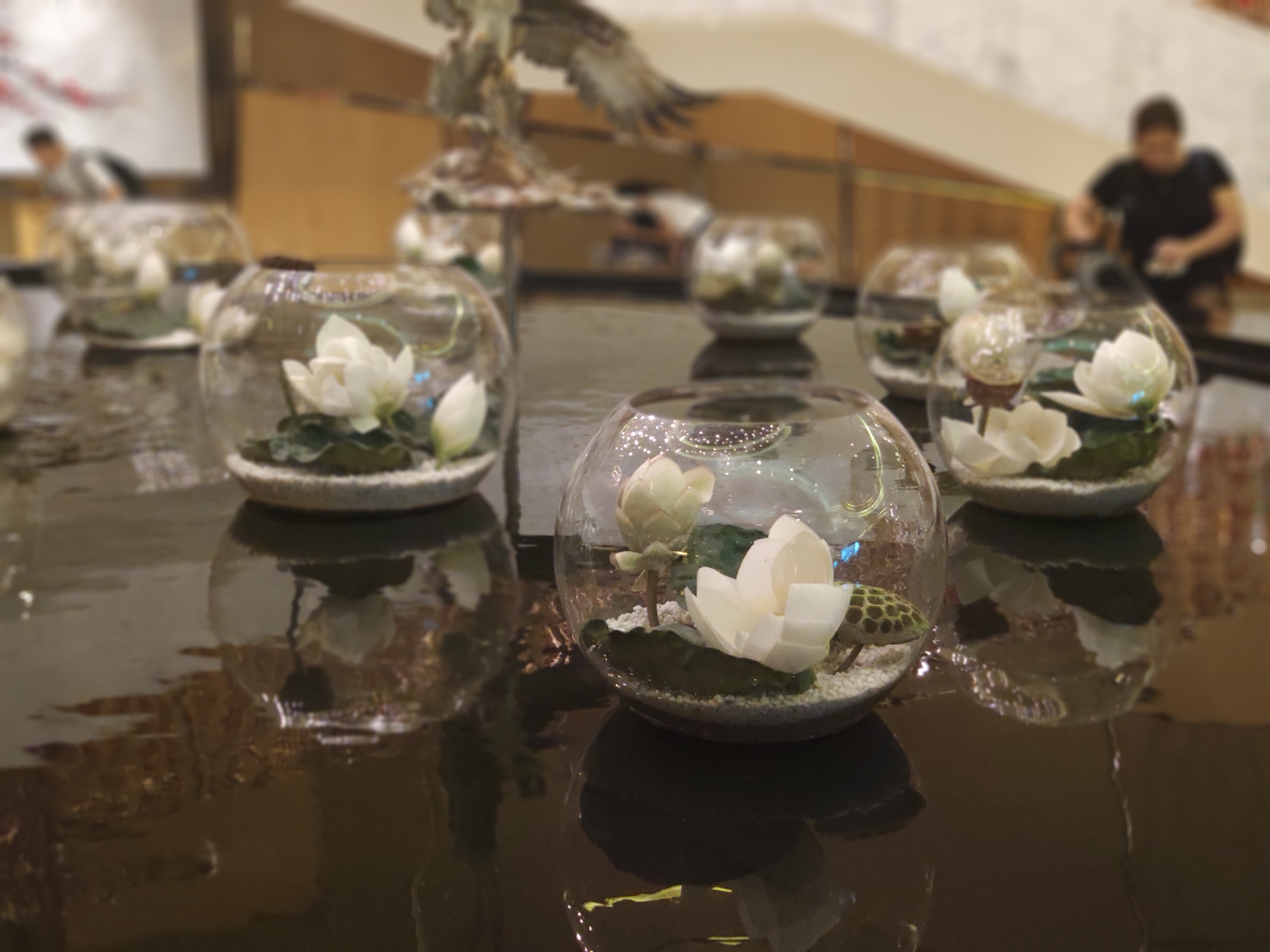 一日澳门终身澳门,澳门一日游有什么景点免费