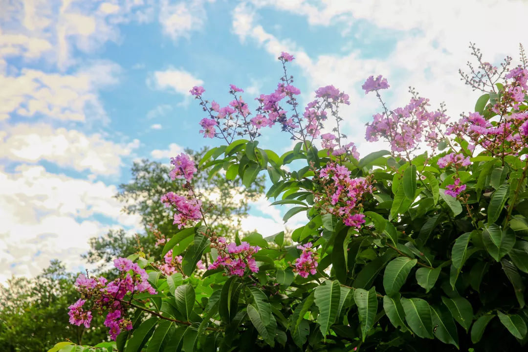 厦门带私享沙滩的亲子酒店,厦门亲子酒店海景房