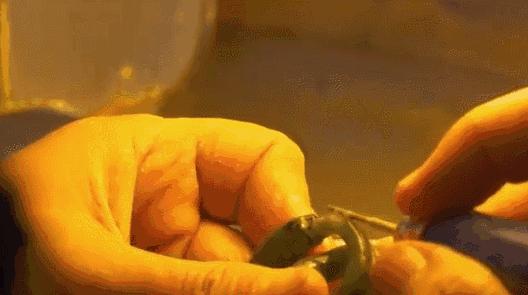 英国大叔在苏州做玉雕,英国人在苏州做玉雕