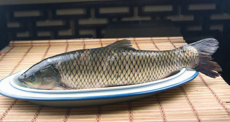 刮鱼鳞小妙招大全,鱼鳞不好刮怎么办