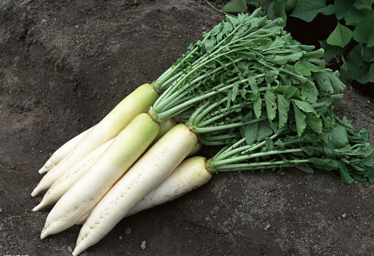 刮鱼鳞小妙招大全,鱼鳞不好刮怎么办