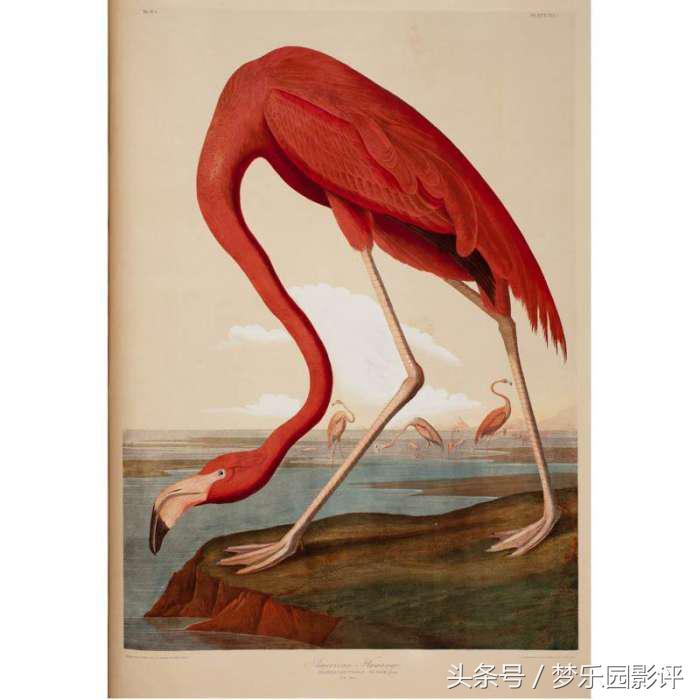 《美国动物》人性：一步错步步错