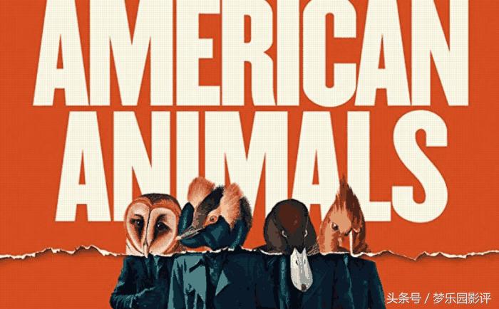 《美国动物》人性：一步错步步错
