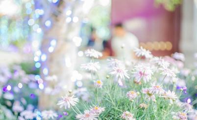 牵引力训练,牵引力培训