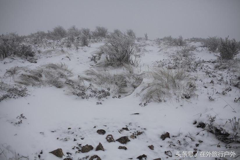 将轻量化进行到底——20L背包的千八雪地露营