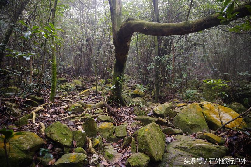 将轻量化进行到底——20L背包的千八雪地露营