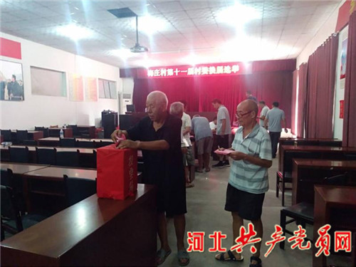 选优配强党支部书记措施,专业化管理的村党组织书记选拔