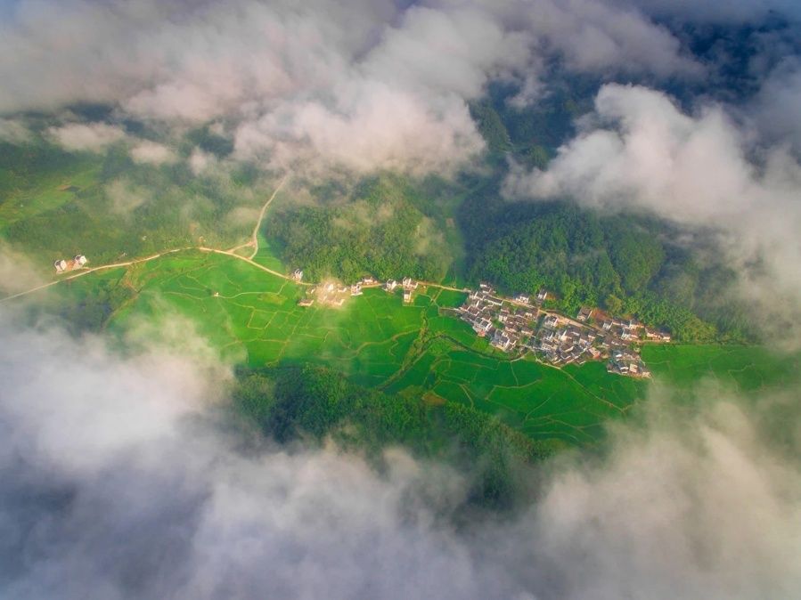 文辉创作,文辉出自何处