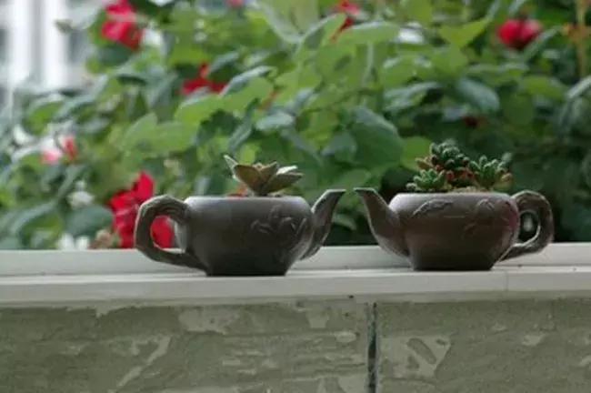 我的网名叫小说,我的网名叫流星