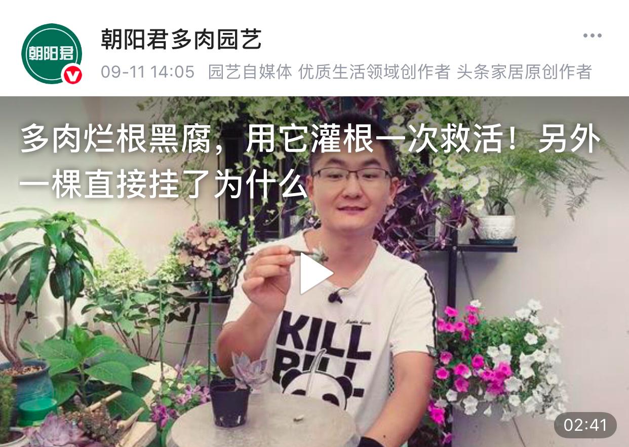 生活视频作者运营全攻略——从推荐、涨粉到收益快拿好~