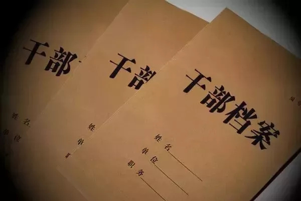 档案中干部身份证明材料有哪些,干部政治素质档案材料