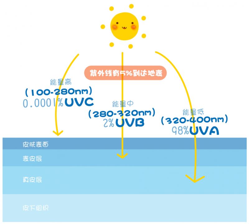 十大建议买的防晒霜颜色测评,凡士林防晒霜排雷测评